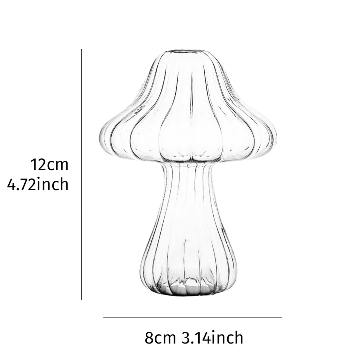Clear glass vase with measurements on a white background