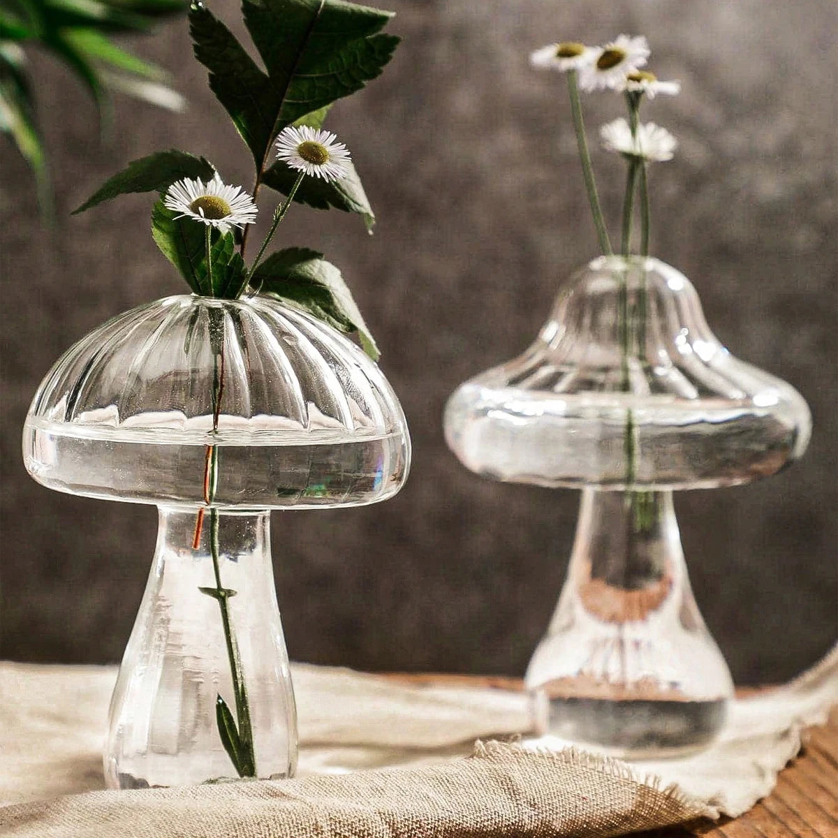 Two clear glass mushroom-shaped vases with plants on a wooden surface.